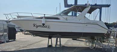 SEA RAY 270A DA