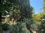 Immagine 18