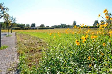 Terreno residenziale urbanizzato