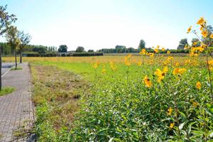 Terreno residenziale urbanizzato