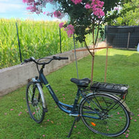 bicicletta elettrica