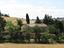 Immagine 8