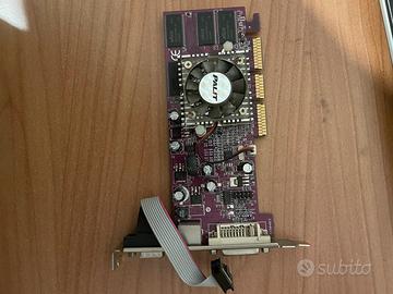 Scheda video 256 mb