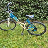 bicicletta mtb 26 bici