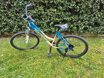 bicicletta mtb 26 bici