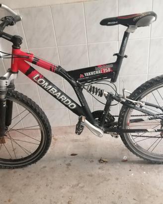 Bici Mtb Lombardo