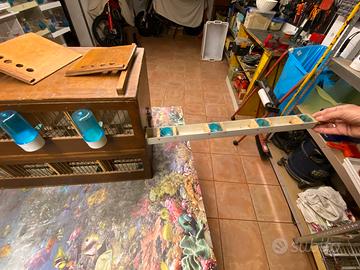 Trasportini per canarini di grossa taglia