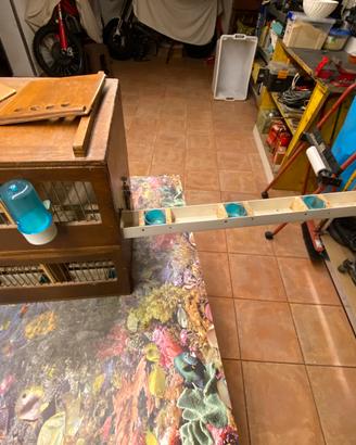 Trasportini per canarini di grossa taglia