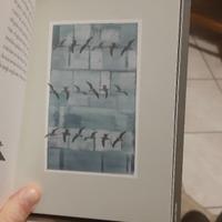 Storia di Gali Gali di Claudio Magris