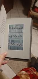 Storia di Gali Gali di Claudio Magris