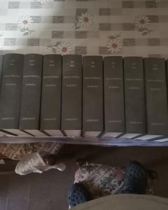 prestigiosa enciclopedia europea.