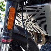 Griglia protezione radiatore Triumph Trident 660