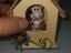 Immagine 6