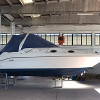 Sea Ray 250/ DA sundancer