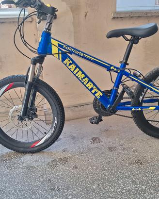 Bici bambino  freni a disco 21 marce
