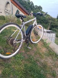 bicicletta elettrica 