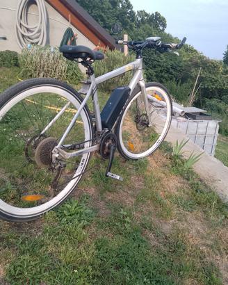 bicicletta elettrica 