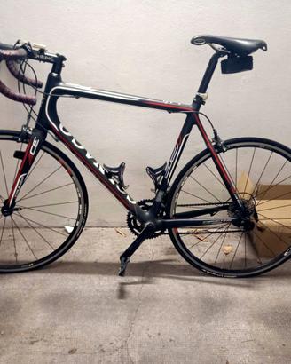 COLNAGO ACE 105