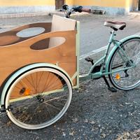 bicicletta cargo bike bambini cani trasporto 