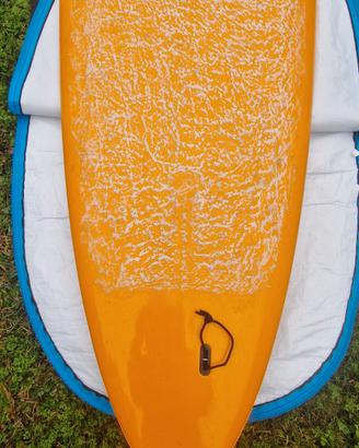 TAVOLA SURF LONGBOARD BIC 10'