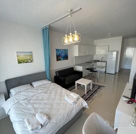 Monolocale lungo dora siena: 330 euro