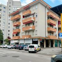 APPARTAMENTO TRICAMERE - luminoso, spazioso e s...