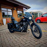 softail black line 2012
