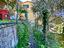 Immagine 14