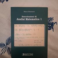 Esercitazioni di Analisi Matematica 1 – Bramanti 