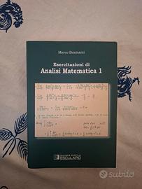 Esercitazioni di Analisi Matematica 1 – Bramanti 