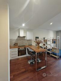 FIRENZE PANCIATICHI Monolocale