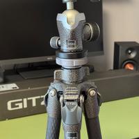 Gitzo mountaineer gt2532 + testa gh1382qd