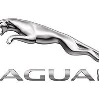 Motore Jaguar S-Type 3.0 V6