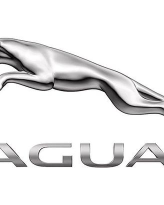 Motore Jaguar S-Type 3.0 V6