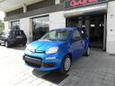 fiat-panda-new-my-25-1-0-firefly-pandina-icon