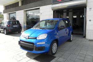Fiat Panda NEW MY 25 1.0 FireFly PANDINA Icon