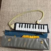 Hohner Melodica Piano 26