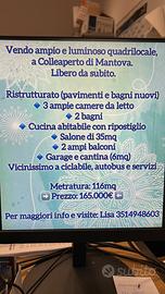 Quadri locale Colle Aperto