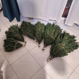 Albero di Natale 180 cm