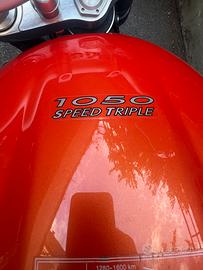 Triumph speed triple 1050 (my 2009)