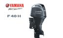 ricambi-yamaha-f40h-60-leggero
