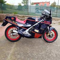 Suzuki RG 250 Walter Wolf