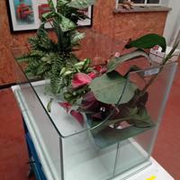 Tartarughiera e supporto