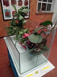 Tartarughiera e supporto