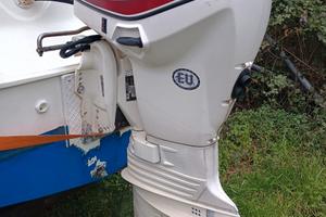 Fuoribordo Evinrude 40 etec HO