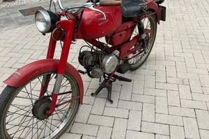 Moto guzzi cardellino 83