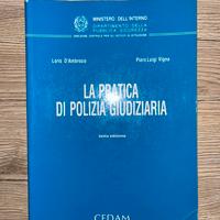 La pratica di polizia giudiziaria