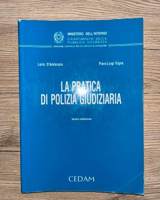 La pratica di polizia giudiziaria