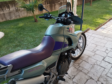 Kawasaki kle 500