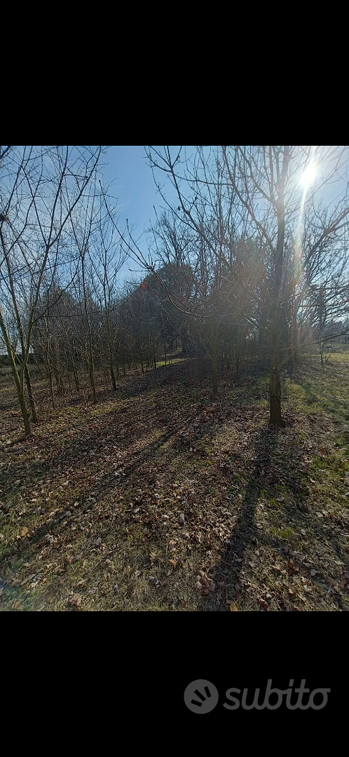 Terreno urbano - Vista 4